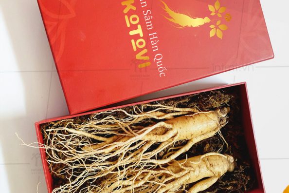 hop-dung-nhan-sam-nguyen-cu Mẫu hộp đựng nhân sâm nguyên củ