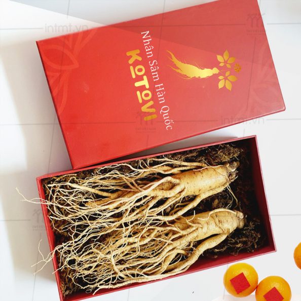 hop-dung-nhan-sam-nguyen-cu Mẫu hộp đựng nhân sâm nguyên củ