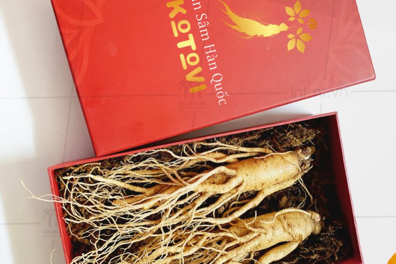 hop-dung-nhan-sam-nguyen-cu Mẫu hộp đựng nhân sâm nguyên củ