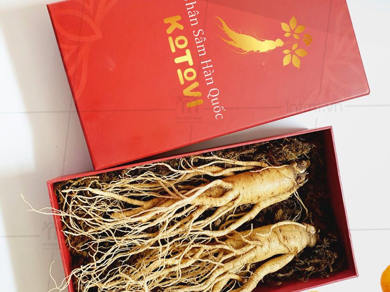 Mẫu hộp đựng nhân sâm nguyên củ