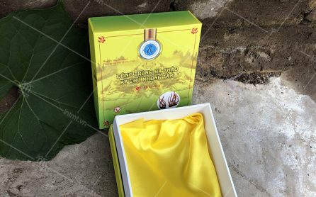 mau-dong-trung-ha-thao-ky-chu-nhong-tam mẫu hộp đông trùng hạ thảo ký chủ nhộng tằm