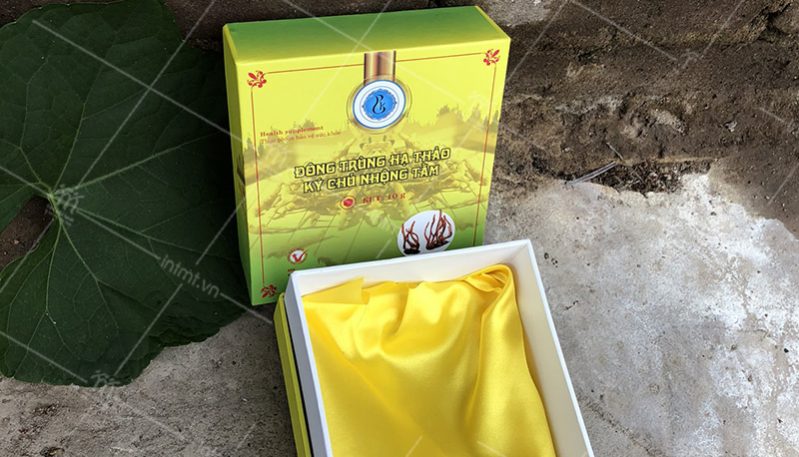 mẫu hộp đông trùng hạ thảo ký chủ nhộng tằm