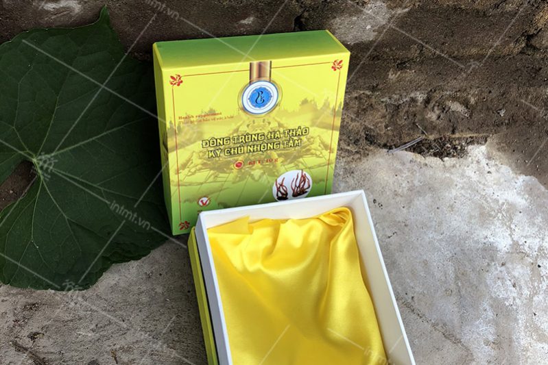 mẫu hộp đông trùng hạ thảo ký chủ nhộng tằm