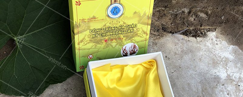 mau-dong-trung-ha-thao-ky-chu-nhong-tam mẫu hộp đông trùng hạ thảo ký chủ nhộng tằm