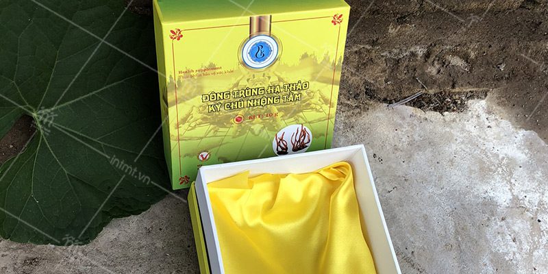 mẫu hộp đông trùng hạ thảo ký chủ nhộng tằm