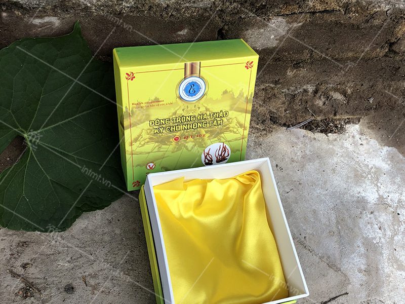 mẫu hộp đông trùng hạ thảo ký chủ nhộng tằm