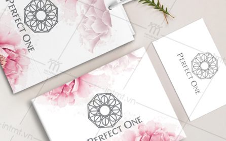 hop-dung-my-pham-perfect-one-1 mẫu túi - hộp perfect one 2