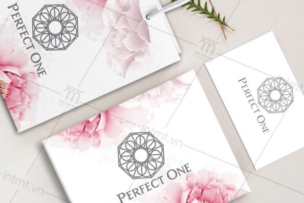 hop-dung-my-pham-perfect-one-1 mẫu túi - hộp perfect one 2