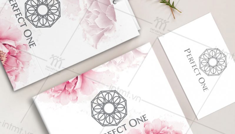 hop-dung-my-pham-perfect-one-1 mẫu túi - hộp perfect one 2