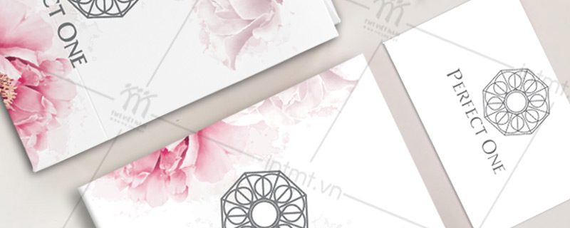 mẫu túi - hộp perfect one 2