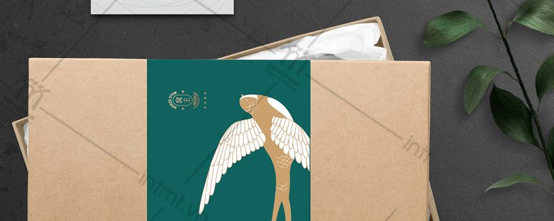 mẫu hộp đựng yến sào kraft