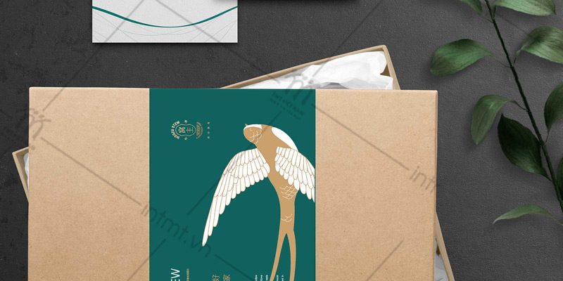 mẫu hộp đựng yến sào kraft