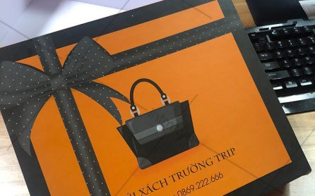 hop-dung-tui-xach-truong-trip-1 mẫu hộp đựng túi xách Trường Trip