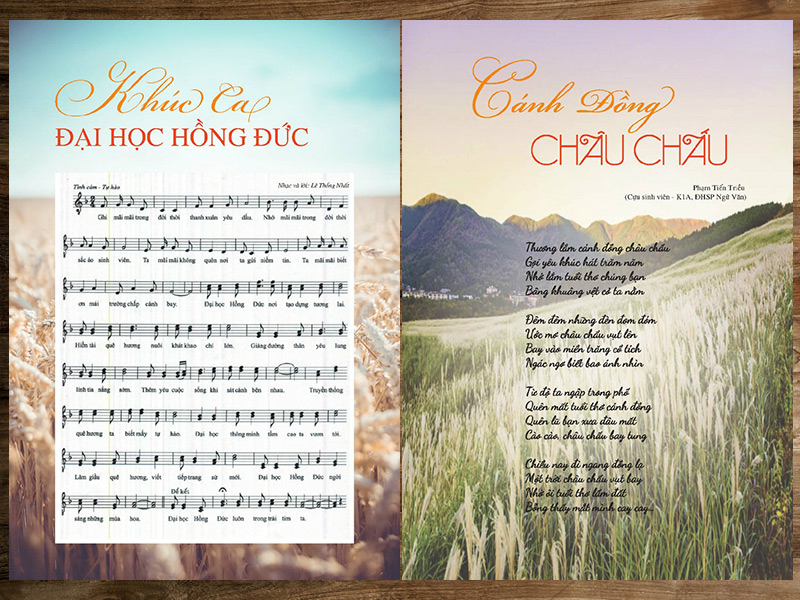 bố cục kỷ yếu thành lập trường 11