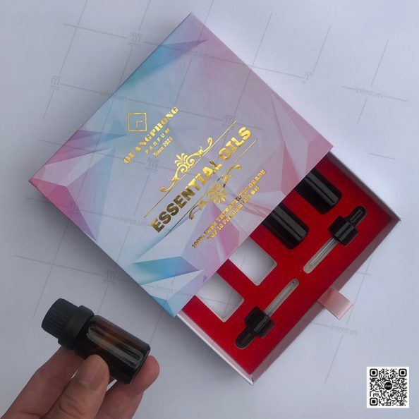 hộp cứng carton lạnh CTL72 ảnh 3