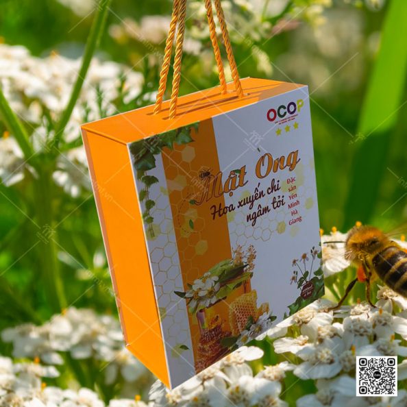 hộp cứng carton lạnh mã sản phẩm ctl73 ảnh 6