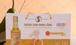 in-hop-dung-nong-san-OCOP-dinh-lang in hộp đựng nông sản OCOP đinh lăng