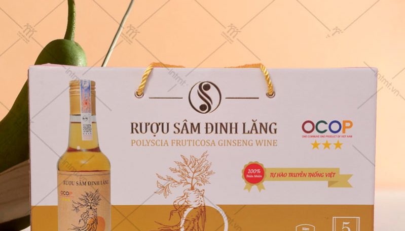 in hộp đựng nông sản OCOP đinh lăng