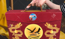 hop-cung-quai-xach-2 Mẫu hộp cứng đựng yến sào dây xách da