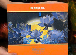 hộp đựng bánh trung thu CTL127 - 1