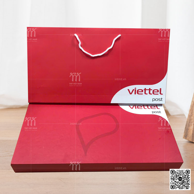 hộp đựng vợt pickleball CTL139-4